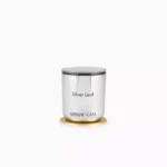 PEGASO Silver Leaf Mum