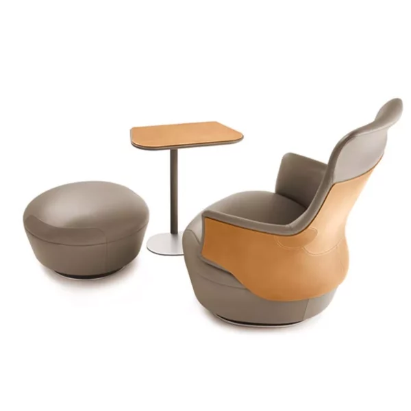 ASSAYA Koltuk - Görsel 6