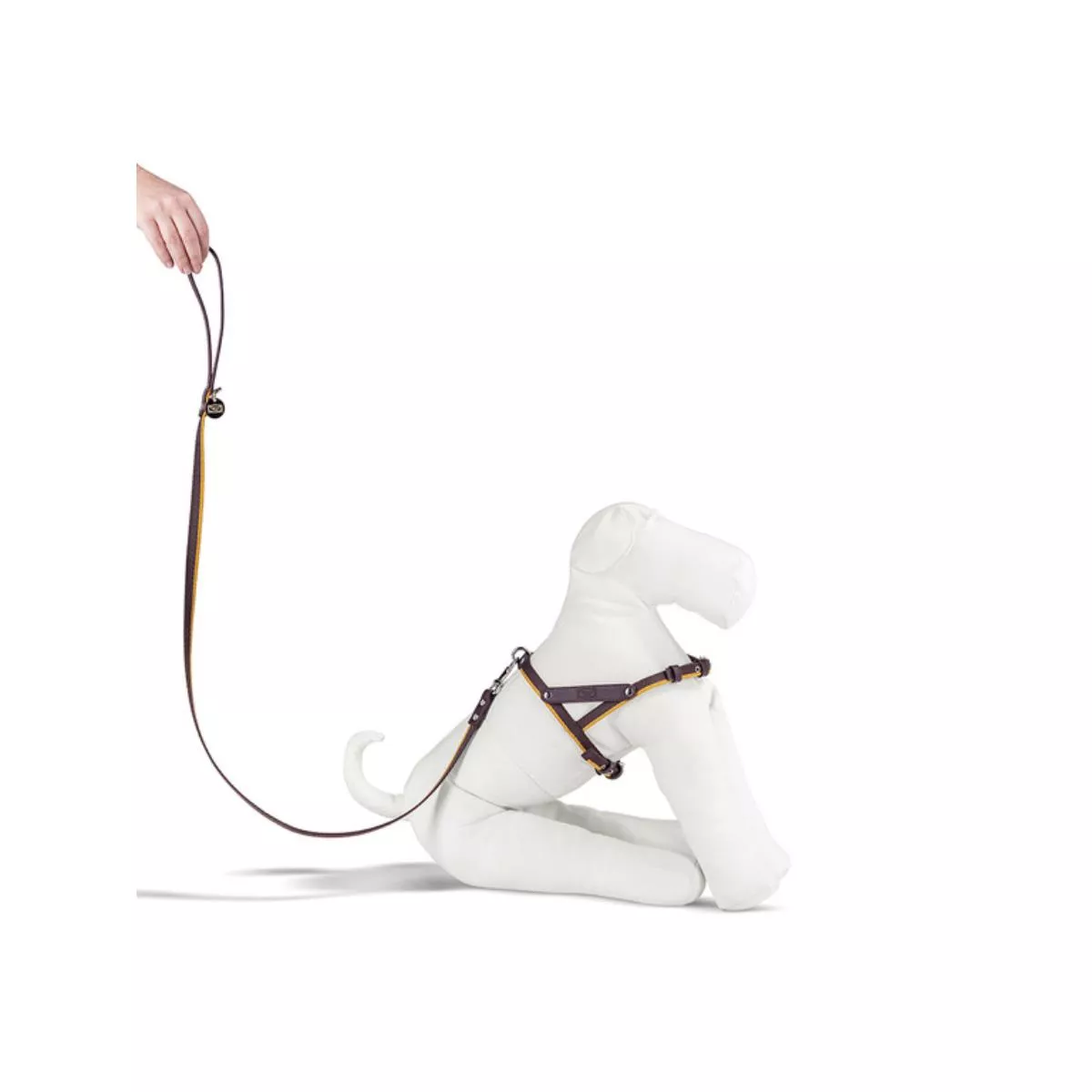 PET COLLECTION Vücut Tasması