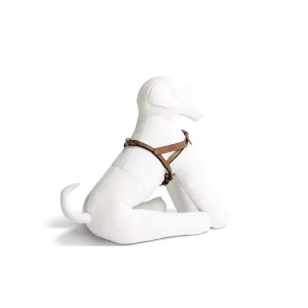 PET COLLECTION Vücut Tasması - Görsel 3