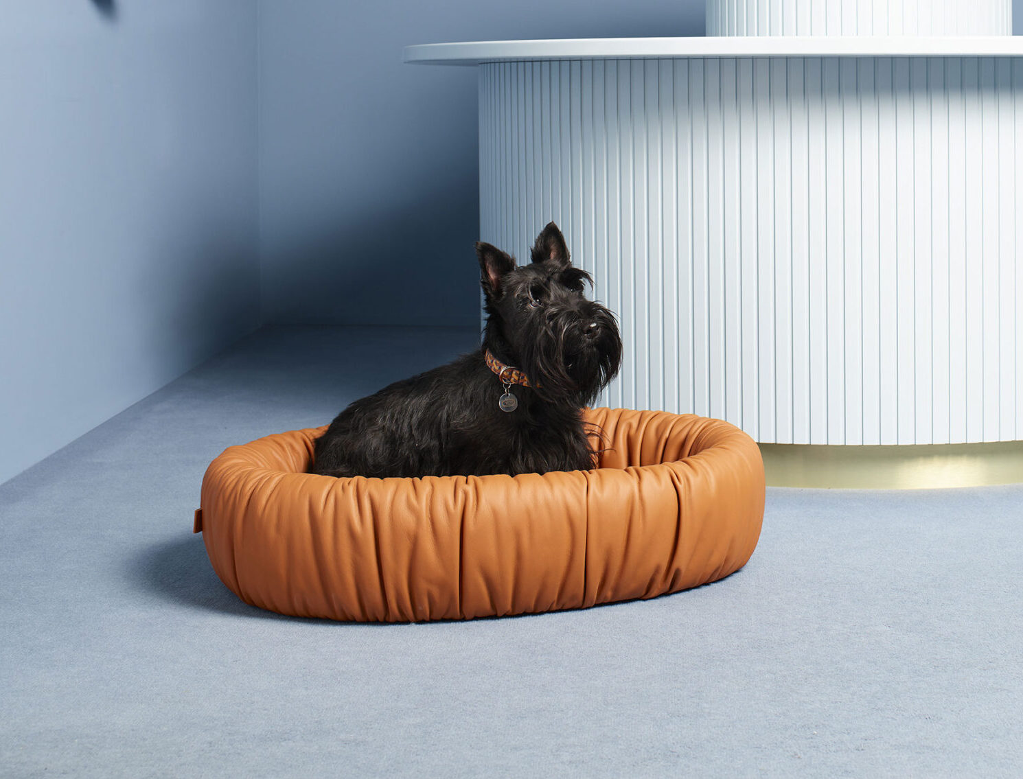 pet-dog-bed-v1 PET COLLECTION Köpek Yatağı - Görsel 1