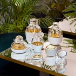 ZOO CLEAR FROG - Görsel 2