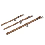 PET COLLECTION Cinnamon/Purple Köpek Tasması / L Beden - Görsel 2