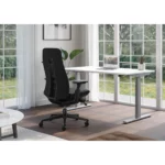 FERN Çalışma Koltuğu - Görsel 16