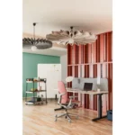 ZODY LX Çalışma Koltuğu - Görsel 15