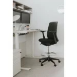 SOJI Çalışma Koltuğu - Görsel 20