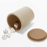 GAMES COLLECTION SC 05 + SC 55 Zar Kutusu