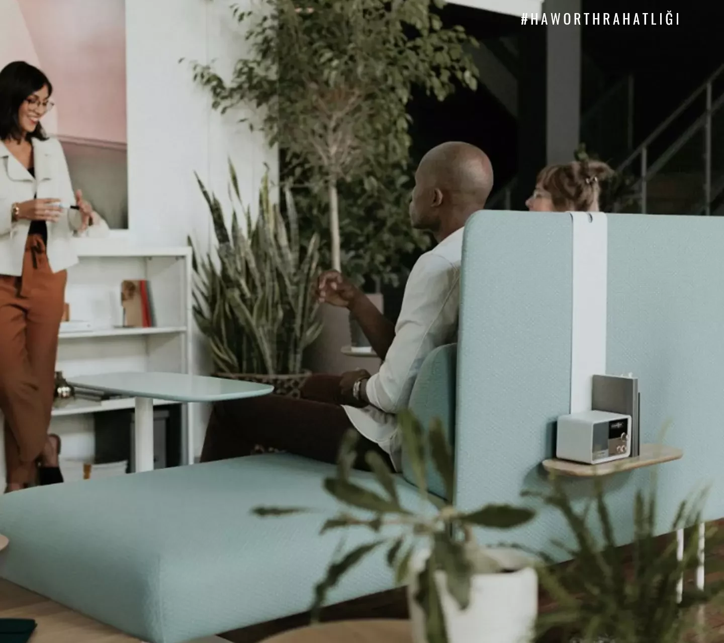 BMS-Haworth-Marka (1)