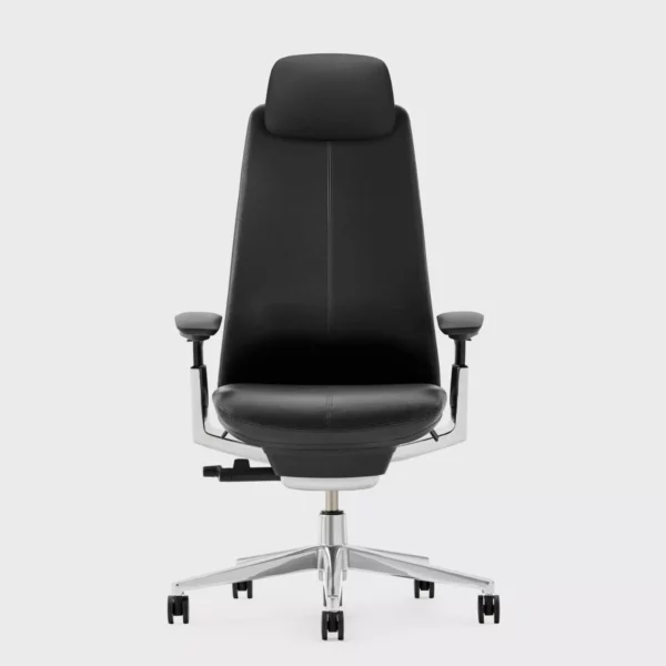 FERN EXECUTIVE Çalışma Koltuğu - Görsel 9