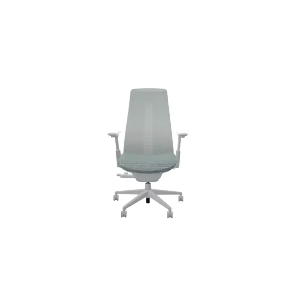 FERN Gri Çalışma Koltuğu