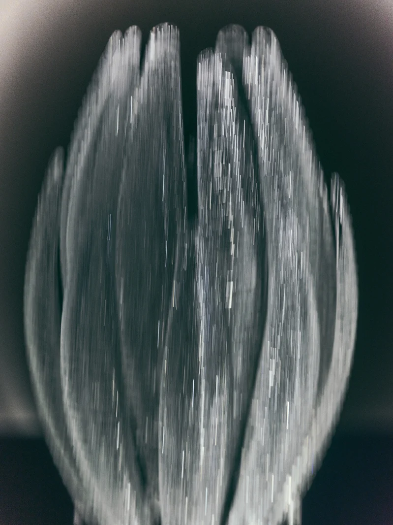 bt_agave_table-lamp_garcia-cumini_editorial_02 AGAVE Masa Lambası - Görsel 1