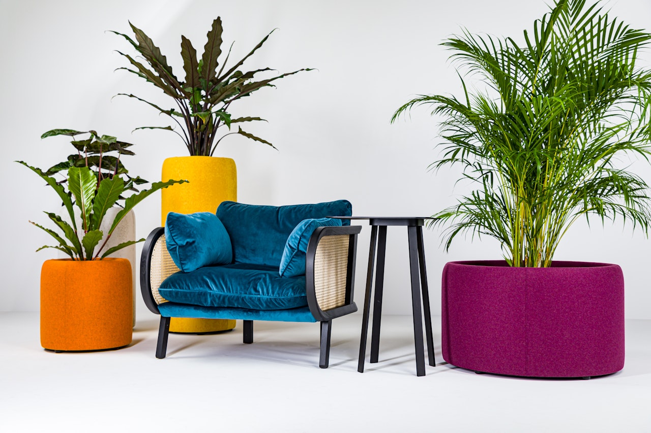 1680596390-ps_buzziplanter_654.jpg BuzziPlanter - Görsel 1